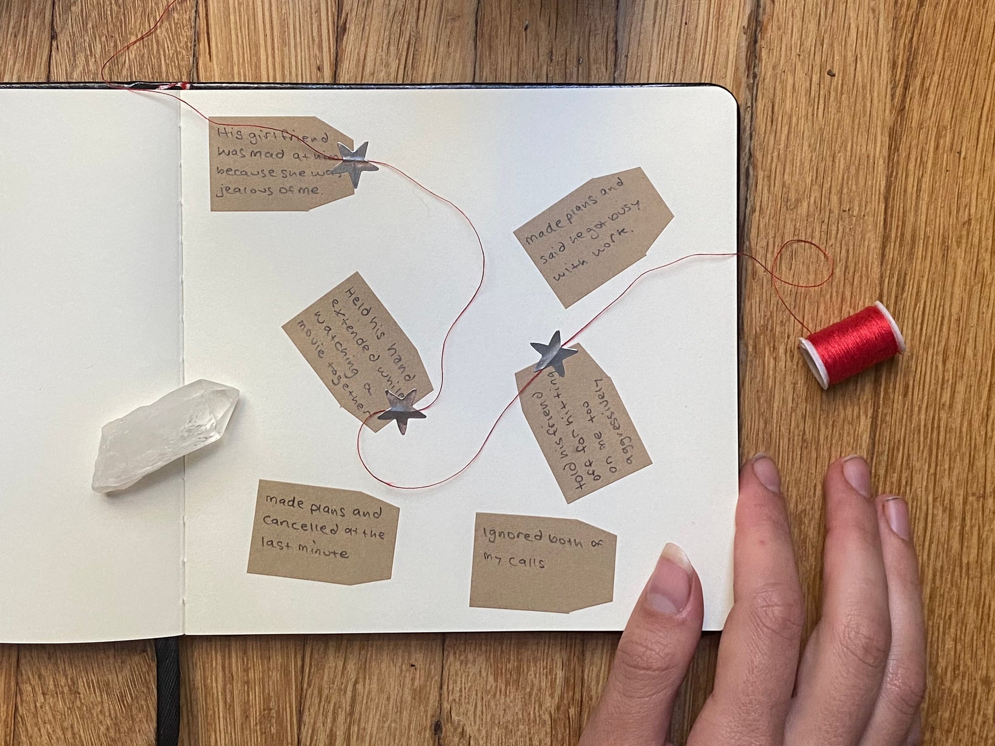 Lunar moth notebook book of shadows bullet journal moleskine