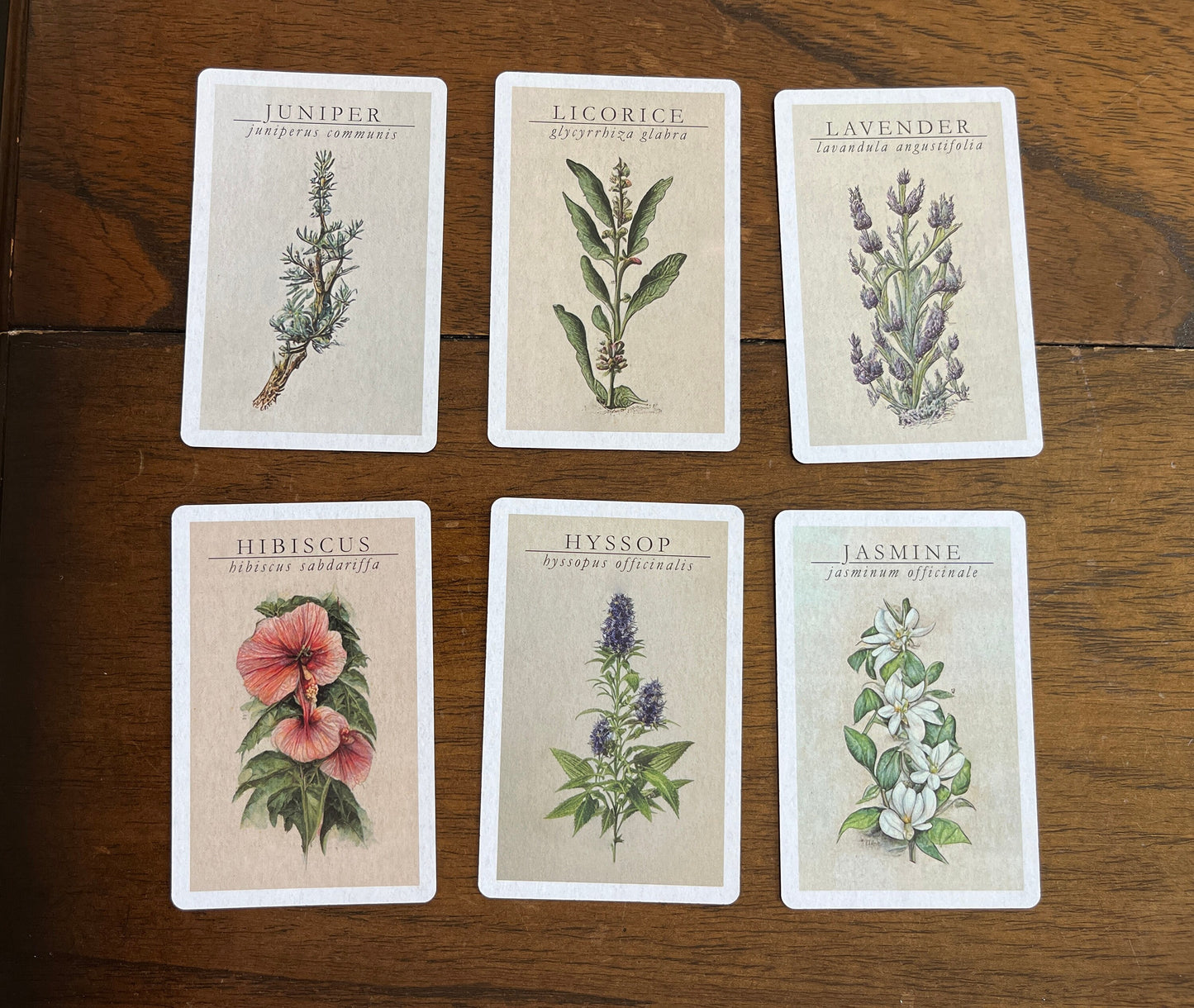 Witchcraft Cards ~ Apothecary Crystal Cards Herbs ~ Index Reference Flash Cards ~ Wiccan Supplies ~ Mineralogy Oracle Tarot Deck