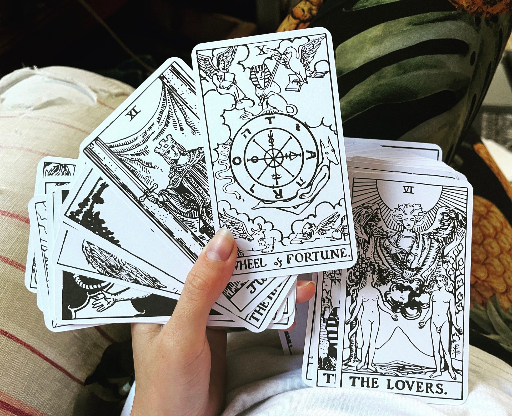 color-in tarot