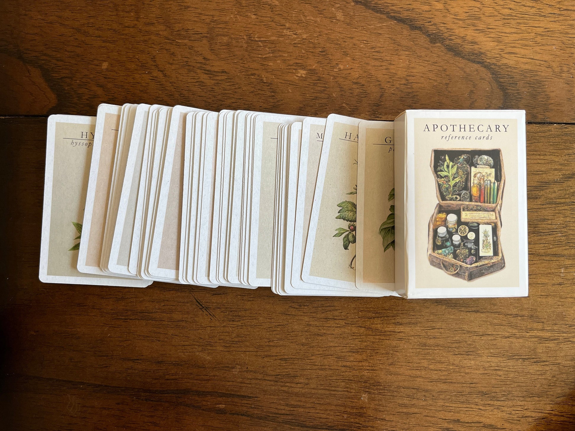 apothecary reference cards ~ herbal index flash cards ~ medicinal herbarium ~ wicca witchcraft supplies ~ information