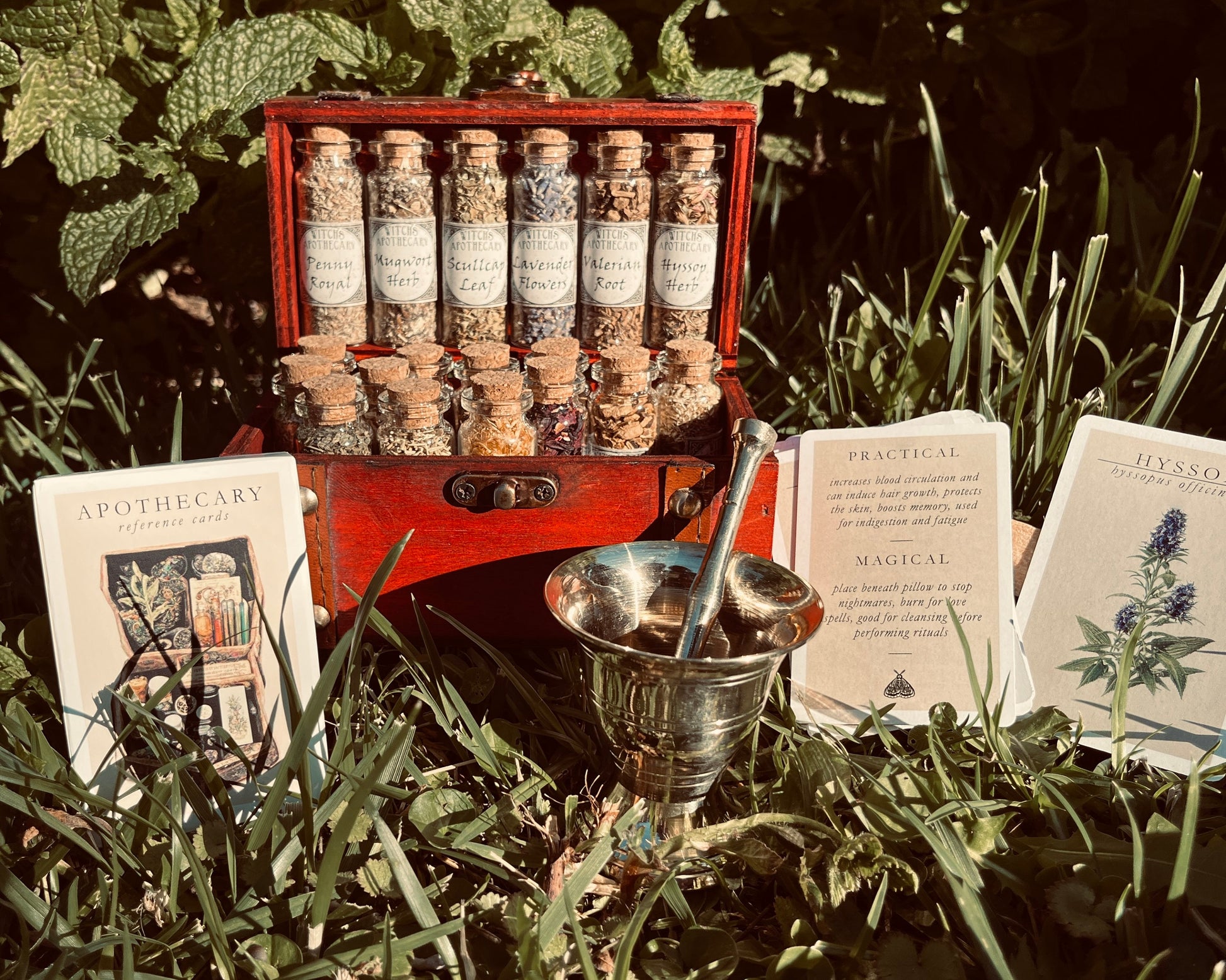 Witchcraft Apothecary Mini ~ Wiccan Pagan Herbs ~ Witch kit box ~ Altar Supplies ~ dried herbs roots berries ~ book of shadows ~ potions