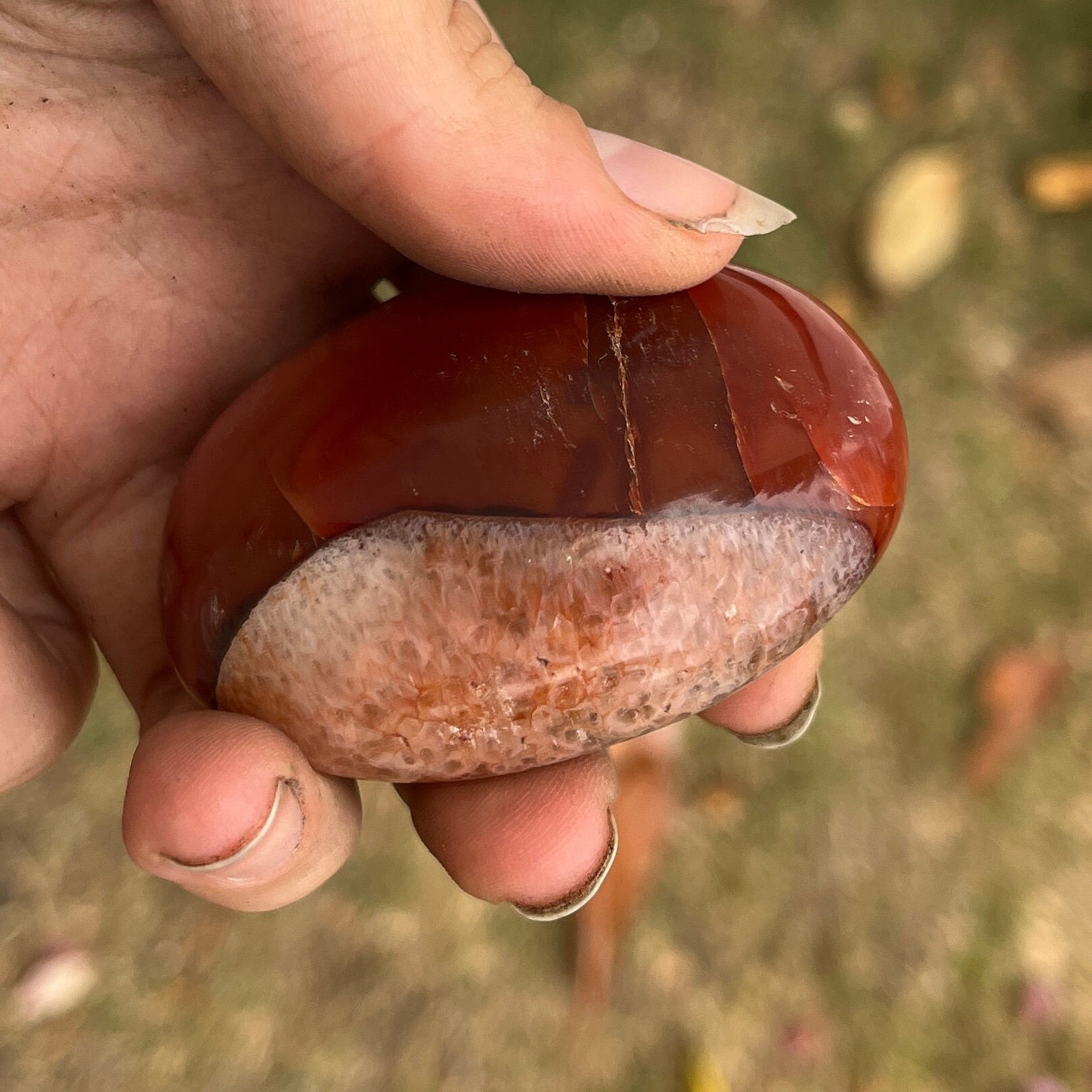 Carnelian Palm Stone