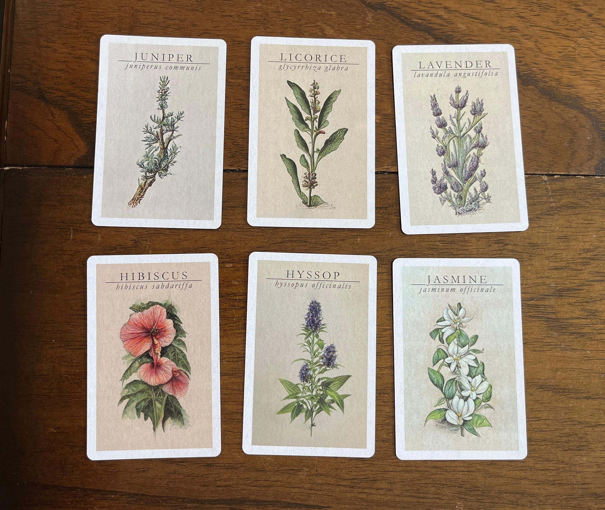 apothecary reference cards