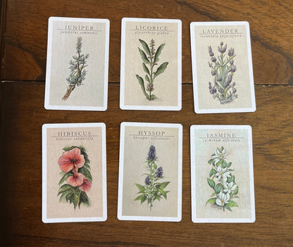 apothecary reference cards