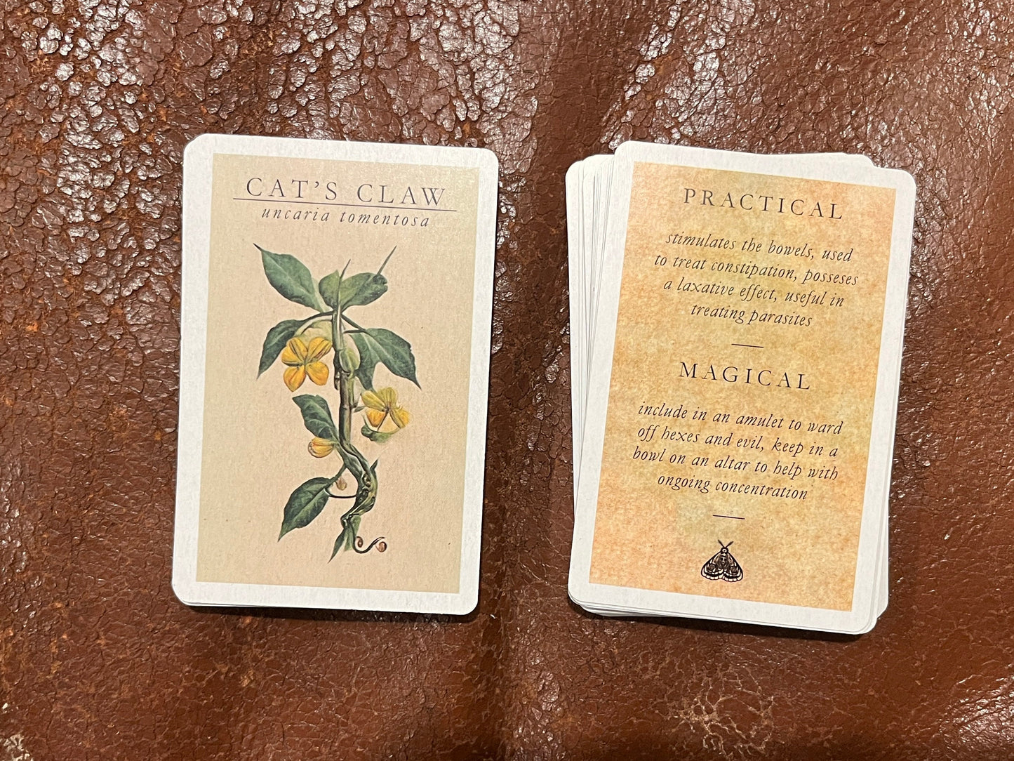 Witchcraft Apothecary