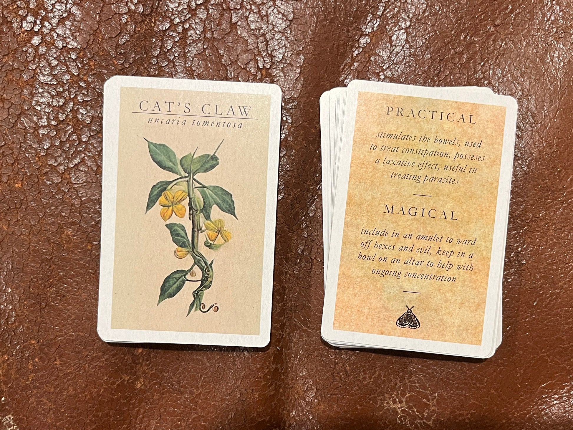 Witchcraft Apothecary