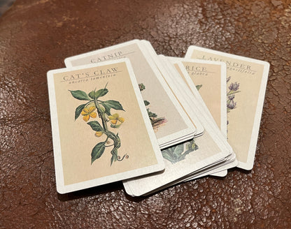 Witchcraft Apothecary