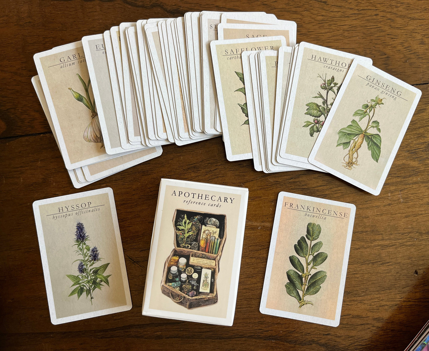 apothecary reference cards ~ herbal index flash cards ~ medicinal herbarium ~ wicca witchcraft supplies ~ information